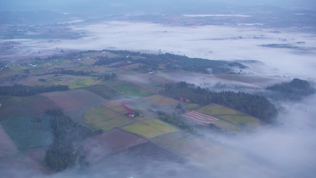 Aerial view of Oregon wine country vineyards and forests
