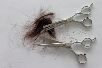 Hair and scissors for haircuts on white paper background.