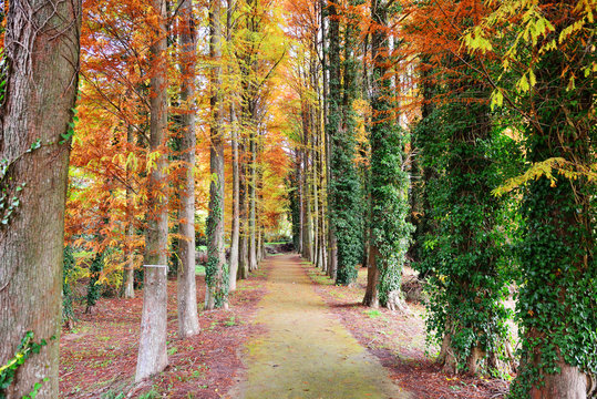 「物産館」の画像 153 件の Stock 写真、ベクターおよびビデオ Adobe Stock