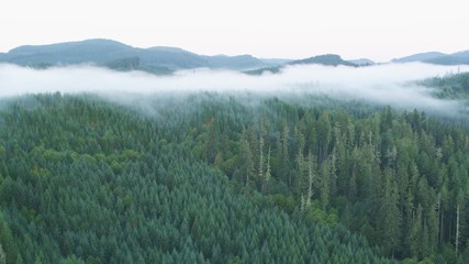 Aerial view of forests lakes and mountains covered in mist of Oregon county