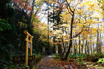 十和田神社と開運の小道