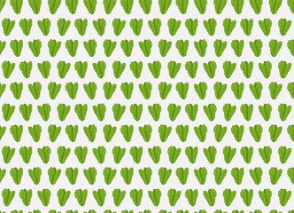 mustard greens wallpaper art design vector illustration vegetables seamless