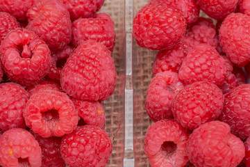 Macro shot of ripe organic raspberries in plastic box on burlap background