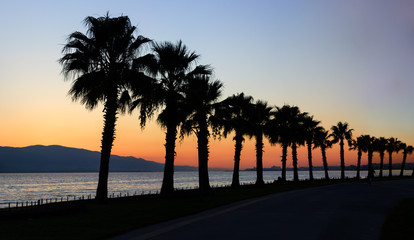 sunset on the beach