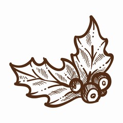 Mistletoe traditional plant with leaves and berries Christmas flora