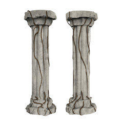 Grey columns with vine isolated.