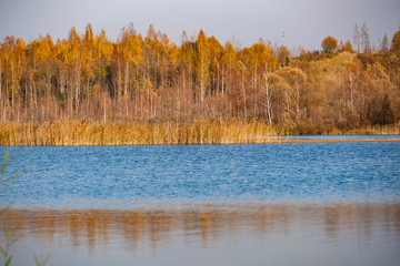 Autumn lake, vegetation and a beach with trees