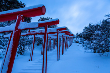 雪の鳥居