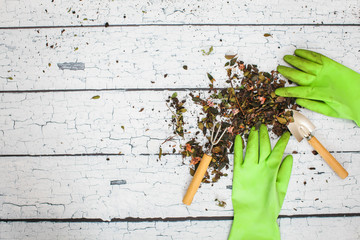 Rubber green safety gloves hand shovel and gardening rake on wooden board agriculture concept.
