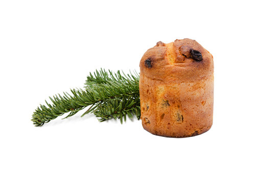 Mail&auml;nder Kuchenspezialit&auml;t Panettone und Tannengr&uuml;n