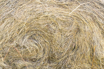Stack of hay texture background.