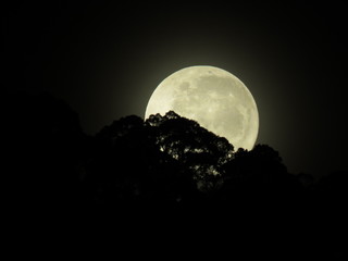Fototapeta na wymiar Moon in the sky 