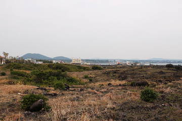 Beautiful Scenery of Jeju Island / Scenery Picture of Jeju Island, Korea