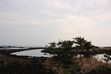 Beautiful Scenery of Jeju Island / Scenery Picture of Jeju Island, Korea