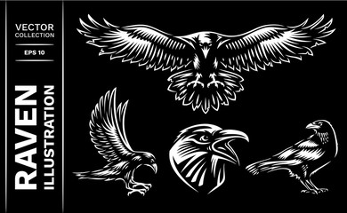 Raven bird collection - vector illustration, logo, emblem black and white, one color.