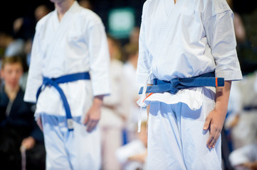young, beautiful and successful karate boys in karate position