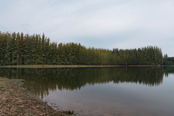 Fototapeta na wymiar lake view landscape
