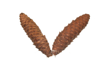 cone isolated on white background