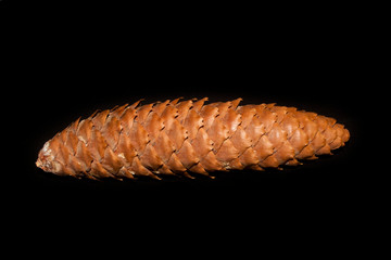cone isolated on black background
