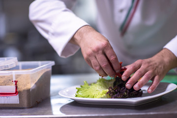 chef serving vegetable salad