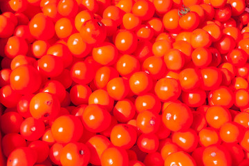 Tomates rouges 