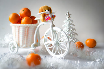 Christmas composition on a white background. The toy bicycle, tangerines in a basket, a fir-tree, a garland, silver.