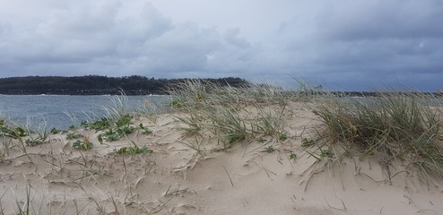 landscape with the sea and sky