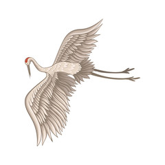 Lovely red-crowned crane flying with wide open wings. Bird with long thin beak, legs and neck. Flat vector design