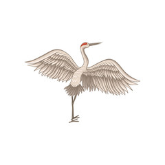 Obraz premium Red-crowned crane standing with wide open wings. Wild bird with long thin beak, legs and neck. Flat vector design
