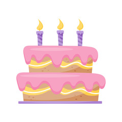 Birthday cake with burning candles vector Illustration on a white background