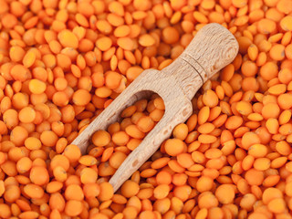 Red lentils in the wooden spoon, healthy food
