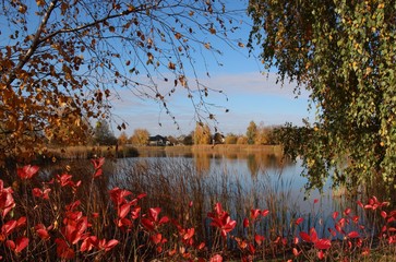 lake water nature autumn