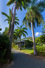 Planter house in botanic garden. Road Town, Tortola
