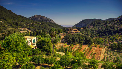 Fototapeta na wymiar Landscape with hills in Palma de Mallorka, Spain.jpg