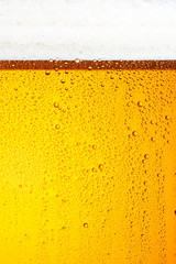 生ビールのイメージ