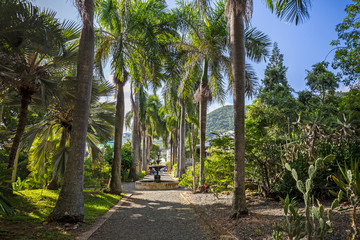 J.R. O'Neal Botanic Garden. Road Town, Tortola