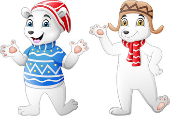 Two cute polar bear cartoon in winter clothes