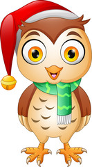 Cartoon cute Christmas owl