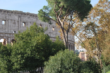 Fototapeta na wymiar Il Colosseo a Roma, Italia