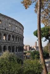 Fototapeta na wymiar Il Colosseo a Roma, Italia