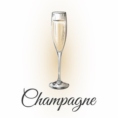 Champagne Glass Hand Drawing Vector Illustration Bubbles. Alcoholic Drink.