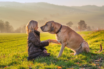 Kind und Hund halten als beste Freunde die Pfote in der Hand und genießen die warme Abendsonne im Herbst