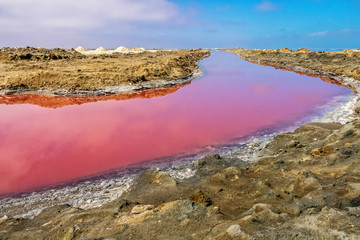 The pink salt filed