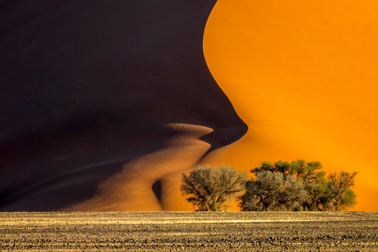 Dune 40 of Sesriem