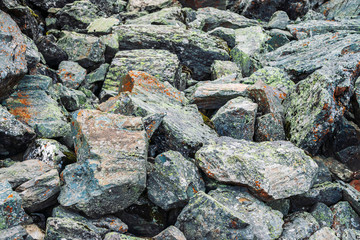 Multicolored boulder stream. Loose rock close up. Randomly scattered stones in nature. Amazing...