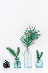 New Year or Christmas composition with fir twigs