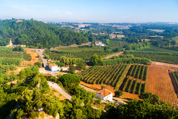 Fototapeta na wymiar Aerial view of a green rural area in Europe