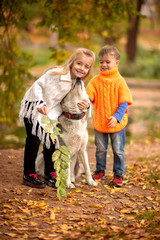 Sister and brother  stands by the lake with a dog husky in the autumn park, around the yellow trees