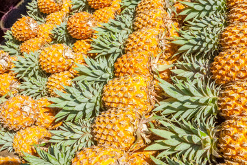 Ananas 