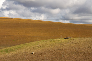 Colores de la tierra en los campos 
